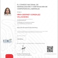 Ampliar imagen: certificate 3
