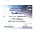 Ampliar imagen: certificate 10