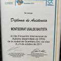 Ampliar imagen: certificate 13