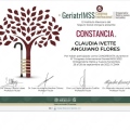 Ampliar imagen: certificate 15