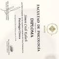 Ampliar imagen: certificate 12