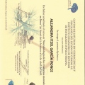 Ampliar imagen: certificate 5