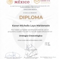 Ampliar imagen: certificate 8