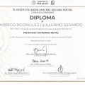 Ampliar imagen: certificate 15