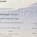 Ampliar imagen: certificate 8