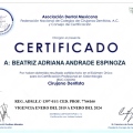 Ampliar imagen: certificate 1