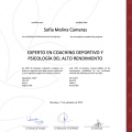 Ampliar imagen: certificate 1