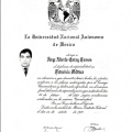 Ampliar imagen: certificate 3