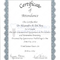 Ampliar imagen: certificate 9