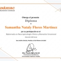 Ampliar imagen: certificate 4