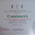 Ampliar imagen: certificate 11