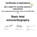 Ampliar imagen: certificate 7