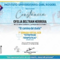 Ampliar imagen: certificate 4