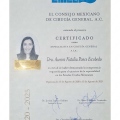 Ampliar imagen: certificate 1