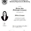 Ampliar imagen: certificate 8