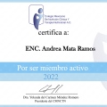Ampliar imagen: certificate 4