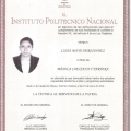 Ampliar imagen: certificate 5
