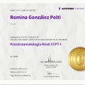 Ampliar imagen: certificate 8