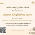 Ampliar imagen: certificate 3