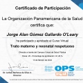 Ampliar imagen: certificate 18