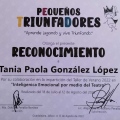 Ampliar imagen: certificate 6