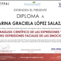 Ampliar imagen: certificate 5