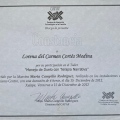 Ampliar imagen: certificate 11