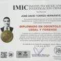 Ampliar imagen: certificate 6