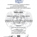 Ampliar imagen: certificate 3
