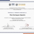 Ampliar imagen: certificate 18