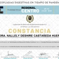Ampliar imagen: certificate 7