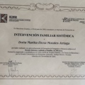 Ampliar imagen: certificate 13