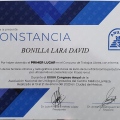 Ampliar imagen: certificate 4