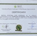 Ampliar imagen: certificate 7