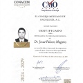 Ampliar imagen: certificate 3