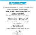 Ampliar imagen: certificate 5