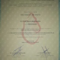 Ampliar imagen: certificate 11