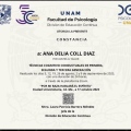 Ampliar imagen: certificate 2