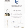 Ampliar imagen: certificate 2