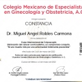 Ampliar imagen: certificate 15