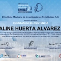 Ampliar imagen: certificate 4