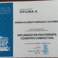 Ampliar imagen: certificate 9
