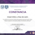 Ampliar imagen: certificate 5