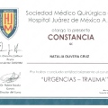 Ampliar imagen: certificate 10