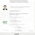 Ampliar imagen: certificate 7