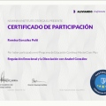 Ampliar imagen: certificate 4