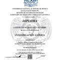 Ampliar imagen: certificate 7
