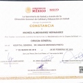 Ampliar imagen: certificate 5