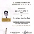 Ampliar imagen: certificate 3