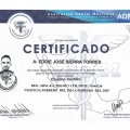 Ampliar imagen: certificate 2